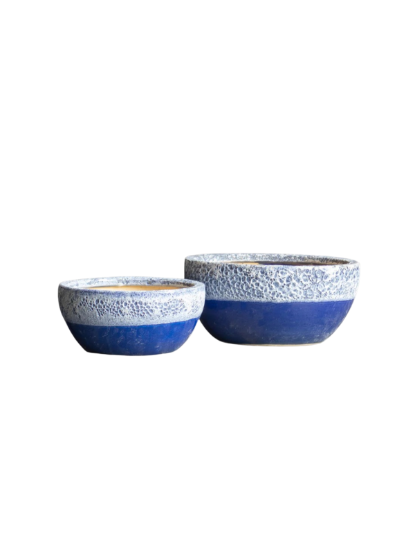 GP534 - Image 2