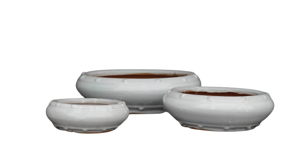 BSG09 - Round Bonsai 1 - Image 2