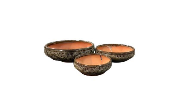 BSG10 - Round Bonsai 2 - Image 2