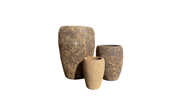 GP506 - Image 2
