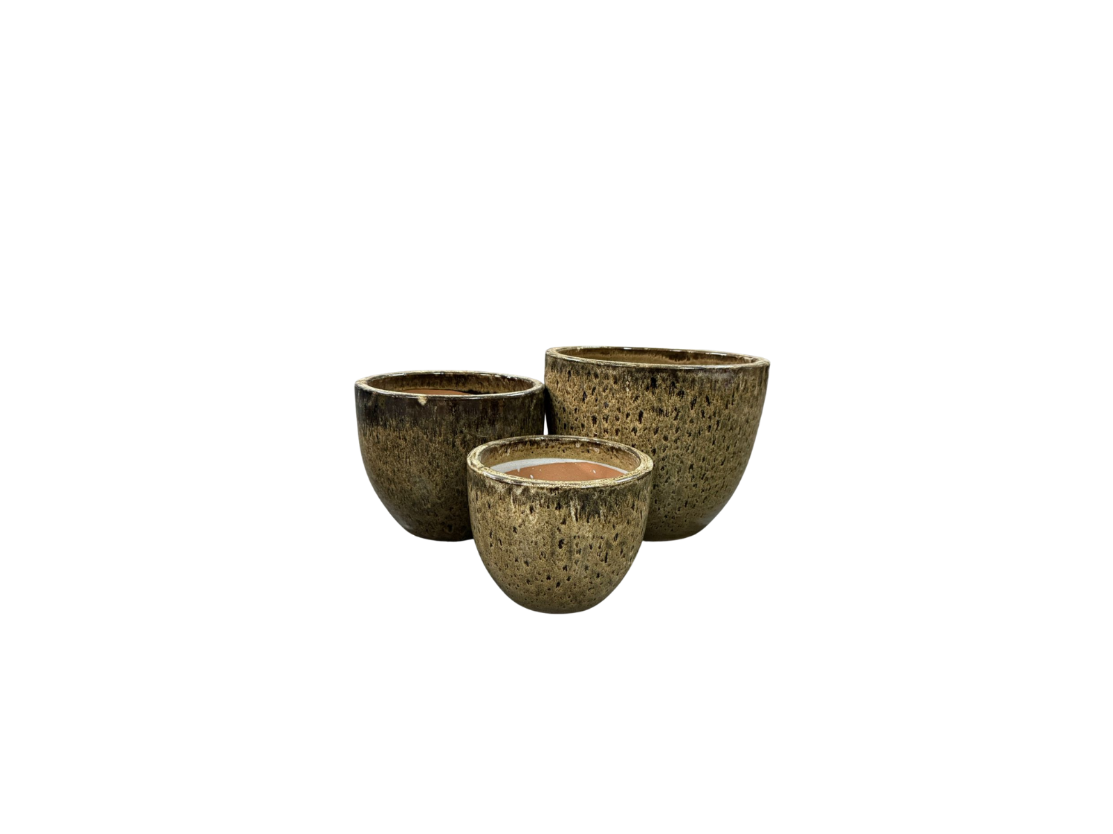 GP507 - Image 6